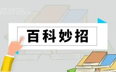 《百度》：torrentkitty电影下载地址使用技巧