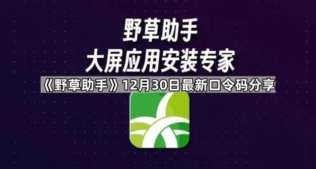 野草助手12月30日最新口令码分享方法