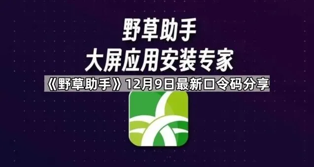 《TA》12月9日最新口令码分享技巧
