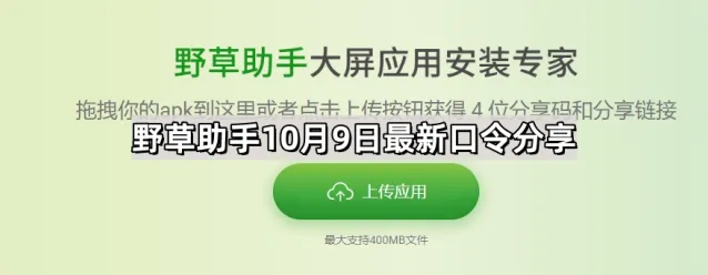野草助手：最新口令分享步骤详解