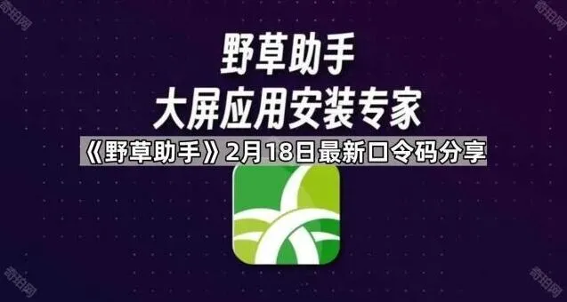 TA最新口令码分享步骤详解