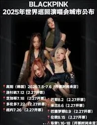 大麦网Blackpink2025演唱会票抢购技巧