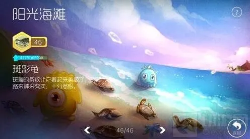 球球大作战进化知识进度条在哪