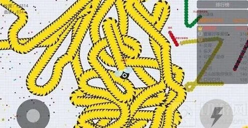 贪吃蛇大作战：高分截图分享 2万分战绩