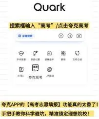 夸克艺术生如何填分数