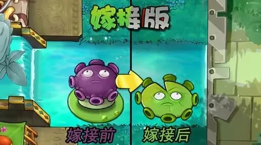 植物大战僵尸忧郁菇