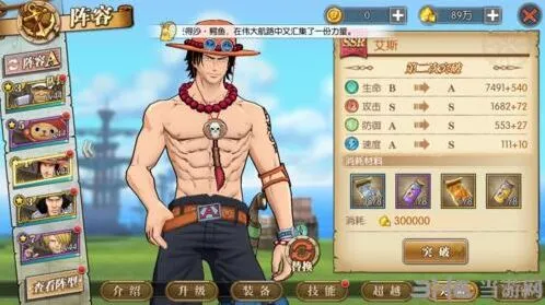 《航海王》：艾斯突破材料完整攻略