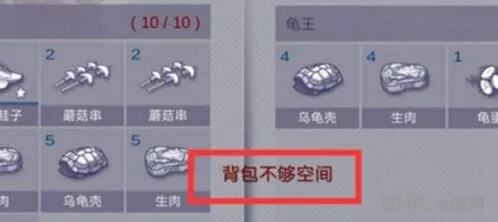 《阿瑞斯病毒》背包空间不足有妙招