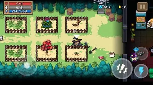 元气骑士0氪玩家植物种植指南