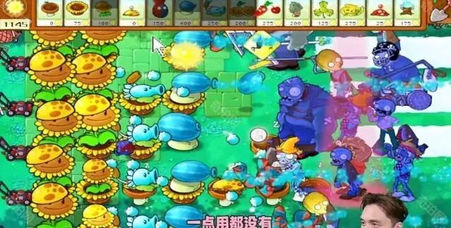 植物大战僵尸攻略