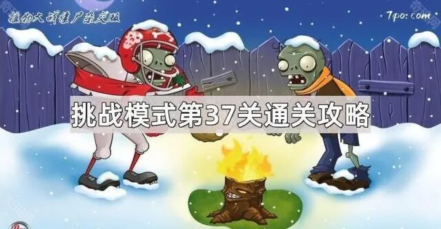 植物大战僵尸杂交版挑战第37关玩法详解