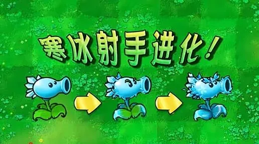 《植物大战僵尸杂交版》寒冰射手进化技巧分享