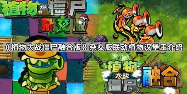 《植物大战僵尸》融合版汉堡王植物完整指南