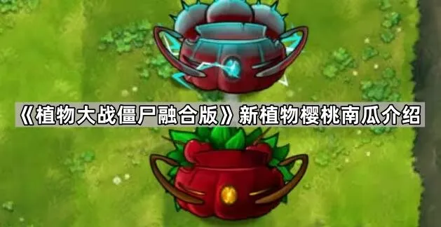 《植物大战僵尸》樱桃南瓜效果与联动介绍