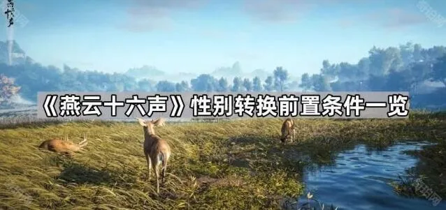 燕云十六声性别转换攻略指南