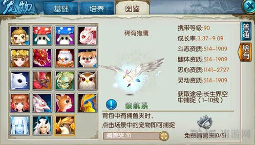 诛仙手游稀有猎鹰捕捉技巧