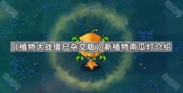 植物大战僵尸杂交版南瓜灯技巧分享