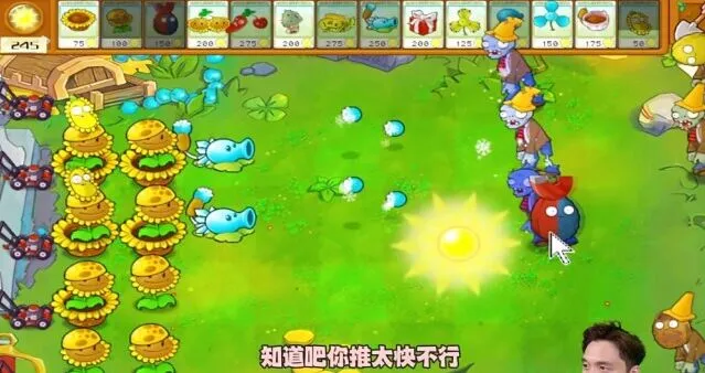 植物大战僵尸通关