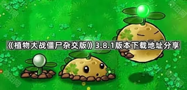《植物大战僵尸》3.8.1版本下载地址指南
