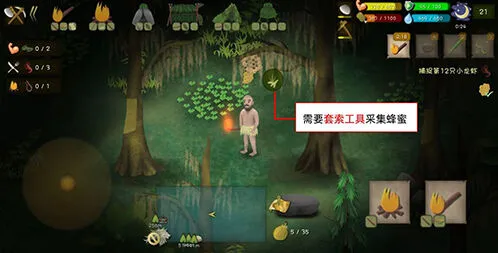 《挨饿荒野》沼泽丛林蜂蜜采集完整教程