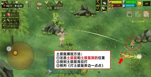 挨饿荒野罗马尼亚高山土拨鼠捕捉完整指南