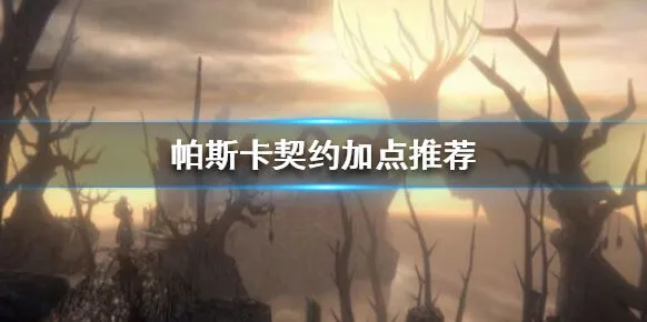 帕斯卡契约加点攻略 角色养成加点指南