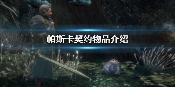 帕斯卡契约物品道具攻略分享