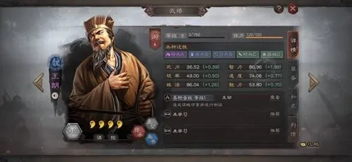 三国志战略版王朗使用技巧阵容搭配