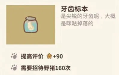 动物餐厅标本系列：牙齿标本作用攻略