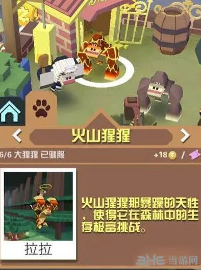 疯狂动物园火山猩猩攻略大全