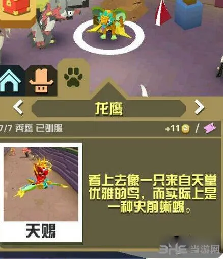 《疯狂动物园》龙鹰宝宝属性攻略
