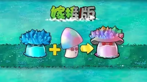 植物大战僵尸嫁接版新植物魅惑寒冰菇指南