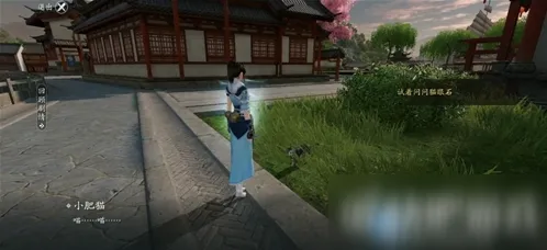 遇见洞中之人奇遇任务流程详细攻略