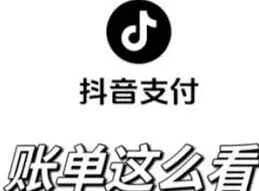 抖音商城消费总金额查询指南