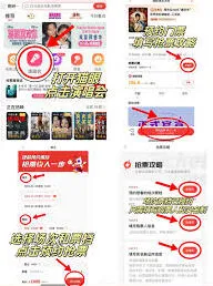 支付宝演唱会门票抢购要点分析