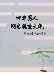 男生成熟稳重有内涵的微信昵称参考