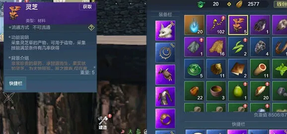 妄想山海灵芝能做什么 药材制作方法分享