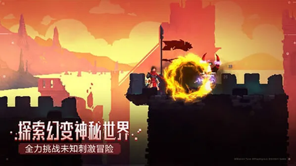 《庇护所》二细胞打法详解