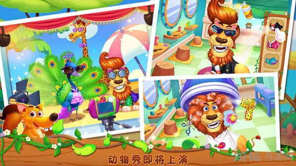 疯狂动物园介绍