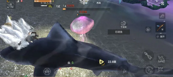 妄想山海粉色水母石镜鱼捕捉攻略