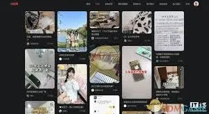 《小红书》网页登录全面解析