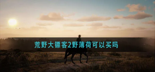 相关攻略野薄荷