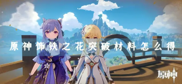 原神饰铁之花武器突破材料教程
