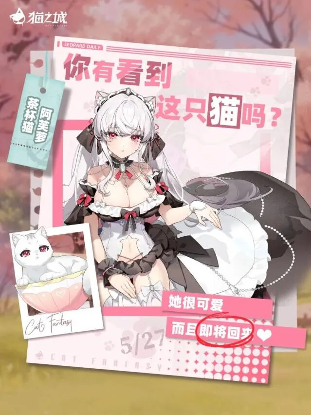 《猫之城》阿芙萝限时召唤指南