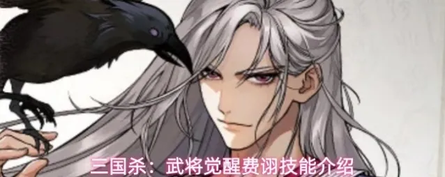 三国杀：武将觉醒费诩技能介绍
