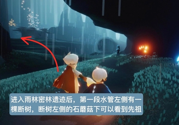 光遇雨林磕头先祖攻略指南