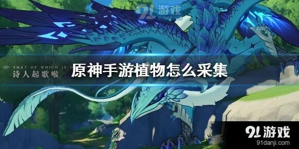 原神植物采集方法全解