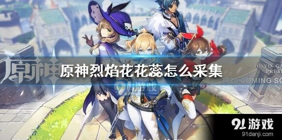 原神烈焰花花蕊采集步骤