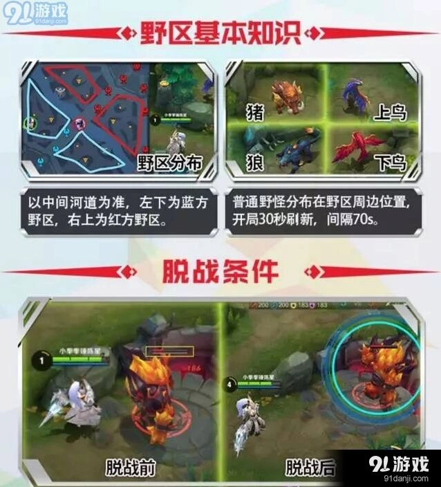 王者荣耀刷野指南 红区猪蓝区鸟金币对比