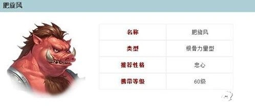 倩女幽魂肥旋风灵兽技能属性